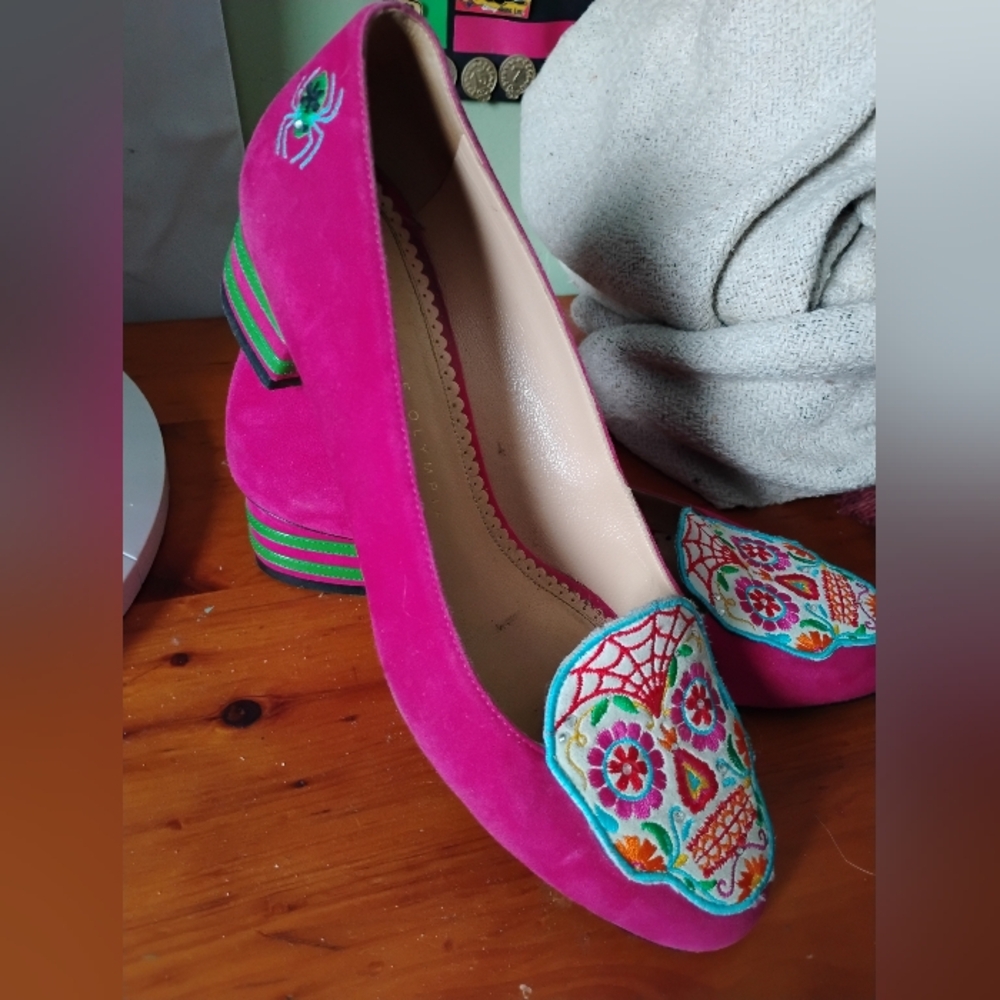 Rare Charlotte Olympia Embroidered Loafers